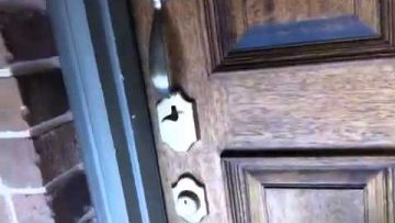 Private: [ID: RAPrsMQZDRs] Youtube Automatic