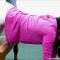 Spanking girl with a leather strap – RealSpankingsInstitute – Kiki’s Gym Punishment (part 1 Of 2)