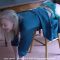Lying over a stool, bottom bare, Lucy Lauren soundly spanked