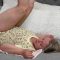 Three Hole Discipline- Plugged Spread and Punished- Bad Girl Bedtime – 3 Stevie Rose