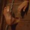 Bastinado in the stocks for Ariel and Lucy