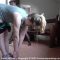 Finale two-part caning for college girl Faerie Willow, touching her toes