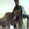 Topless Chrissy Marie has her bottom paddled for injuring a valuable horse