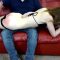 Spanked For Obsession