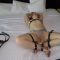 Good Girls get to Cum – Bound forced Orgasm