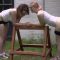 Outdoor Detention – Clara Matthews, Faerie Willow & Miss Portia