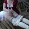 Moms Spoiled Brat Spanked In Jodhpurs – Helen Stephens & Eris Martinet