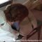 Upended Lucy Lauren Looks Perfectly Positioned For A Bare Bottomed Spanking