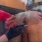 The Firsttime Of My Sissy Real Pegging Experience