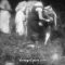 MP4/SD – ancient French spanking film – PART-ancient French spanking film