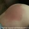 Panties Down For A Sound Spanking – Petite Dolliah Hart Feels The Sting